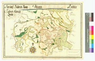 Baldereck, Bisdamitz (Bismitz), Bobbin, Dalmeritz, Kampe, Koosdorf, Nardevitz, Quoltitz Amt/Distrikt Rügen