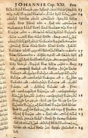 Novum Domini Nostri Jesu Christi Testamentum Syriace : Cum punctis Vocalibus, & Versione Latina Matthæi ita adornata, ut unico hoc Evangelista intellecto, reliqui totius Operis libri sine interprete intelligi possint