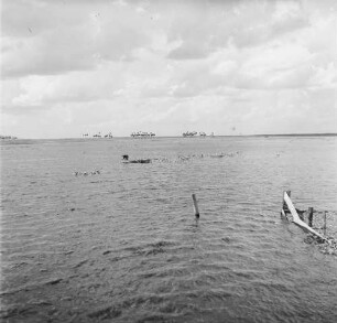 Florida