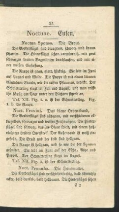 Noctuae. Eulen.