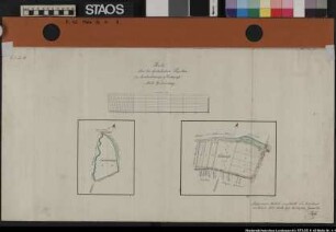 "Karte über die fiskalischen Parzellen s.g. Landwehrwiese (am Violenbach) bei Holterdorf und Teichwiese (an der Else)." Namen der angrenzenden Grundbesitzer. Ausf.-Art: Farbige Zeichnung auf Leinen gezogen Herst.: Bosse Format: 35 x 66 cm Maßstab: 1 : 2000