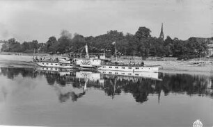 Dresden. Personen-Seitenraddampfer "Bastei" (1896, Blasewitz) in Fahrt stromauf. Blick über die Elbe Richtung Neustädter Seite