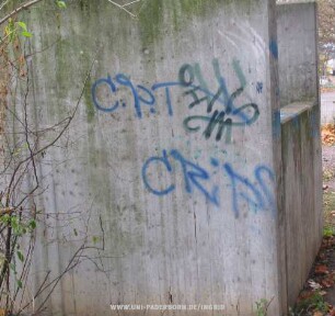C.P.T. CRiPS