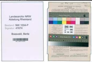 Entnazifizierung Berta Boesveld , geb. 26.09.1883 ()