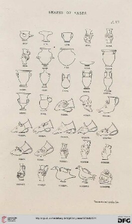 Plate VII-X