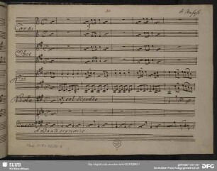 Gli amanti canuti. Excerpts - Mus.1-F-82,33-6 : S, orch, b