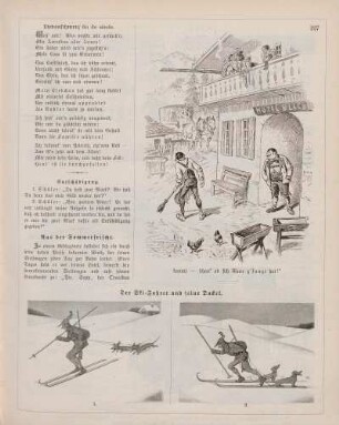 "Aus der Sommerfrische" "Der Ski-Fahrer und seine Dackel"