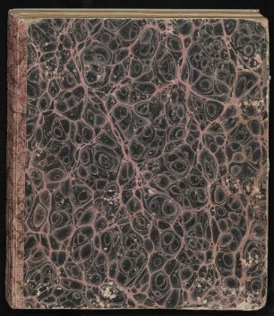 Tagebuch der Italien-Reise 1839/40