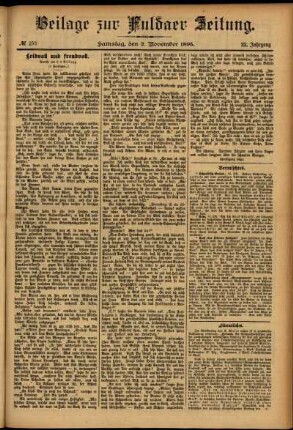 Zweite Ausgabe vom Samstag, den 02. November 1895.