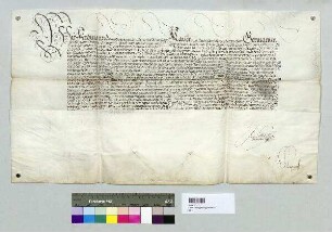Kaiser Ferdinand nimmt das Hochstift Regensburg unter seinen Schutz. S: A