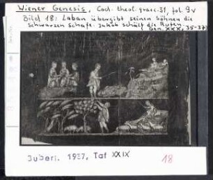 Wiener Genesis (Wien, Cod. theol. graec. 31), fol. 9v: Laban übergibt seinen Söhnen die schwarzen Schafe