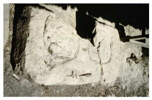 Lamanai, Hieroglyphic Stairway (LMN: HS.)