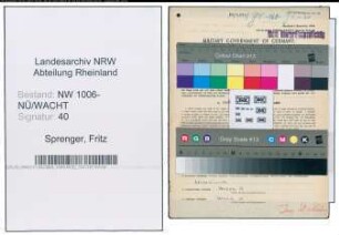 Entnazifizierung Fritz Sprenger , geb. 06.08.1905 (Landgehilfe)