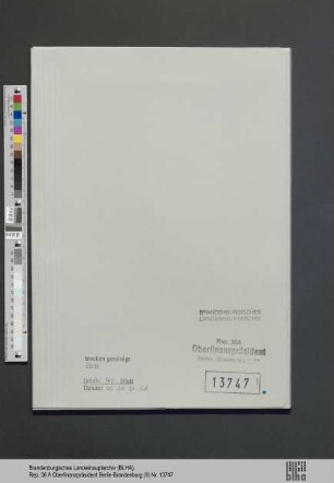 Hammerschmidt, Therese