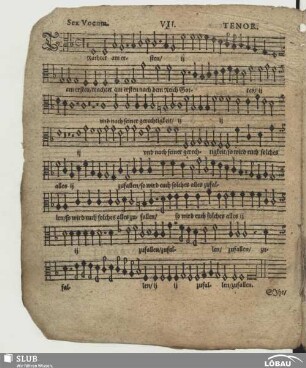 VII. Trachtet am ersten