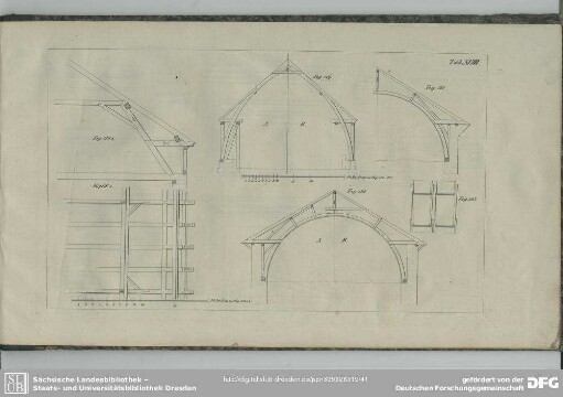 Tab. XVIII
