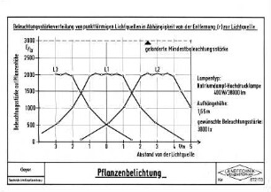 Pflanzenbelichtung