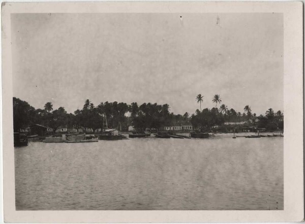 Hafen von Cappelo (Film: "Urwelt im Urwald")