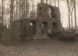 Altzella, Abtei : Zisterzienser-Kloster Altzella, Abtei, Ruine von Südosten (außen)