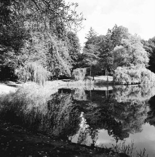 Kurpark: Salzteich
