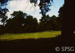 Potsdam, Park Sanssouci, Park Charlottenhof.