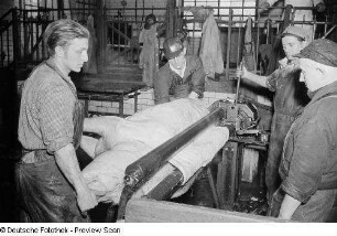 Arbeiter beim Häuten eines Schweins