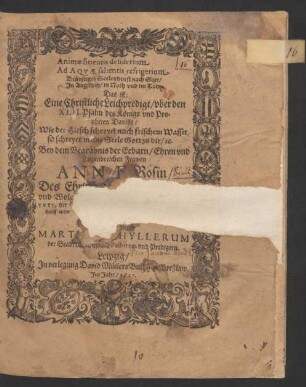 Animae sitiensis desiderium Ad Aquae salientis refrigerium