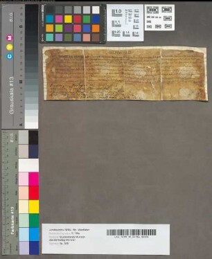 Indulgentiae pro altari confraternitatis agoniae in Ecclesia S. Crucis strombergae ad septennium.