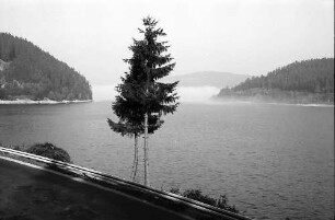 Nebel über dem Schluchsee bei Seebrugg