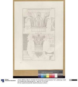 Vorbilder für Fabrikanten und Handwerker. Teil 1, Abteilung 1, Blatt 5a: Korinthische Ordnung des Kapitells des Apollo-Tempels mit Konstruktionsdetails