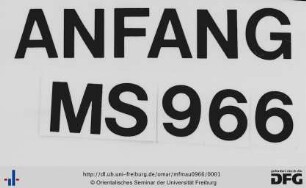 MF Mau 966