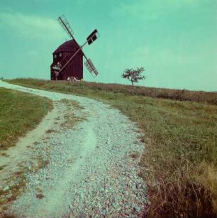 Windmühle mit Feldweg