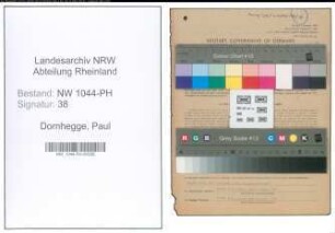 Entnazifizierung Paul Dornhegge , geb. 15.08.1906 (Tierarzt)
