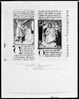 Auszüge aus der Bibel, und Marienleben — Davids Reue