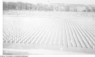 Leipzig. 3. Parlament der Freien Deutschen Jugend (FDJ). Sportübungen und -veranstaltungen im Jahn-Stadion, Pfingsten 1949