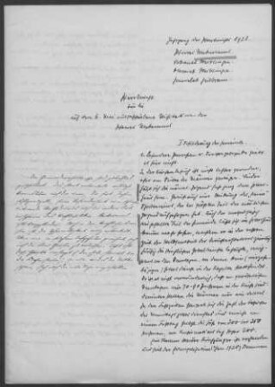 Neckarrems: Pfarrbericht 1928