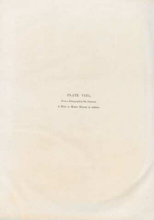 Plate VIIIA.