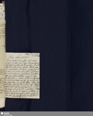 Bl. 124-125. SvC, Wilhelmine an SvC, Julius