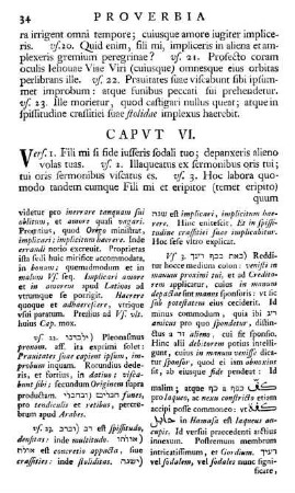 Capvt VI.