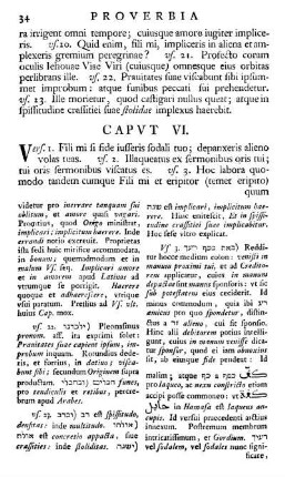 Capvt VI.