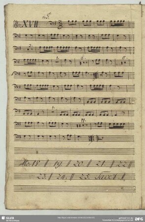 17. Anonymus, Instrumentalstücke, G-Dur