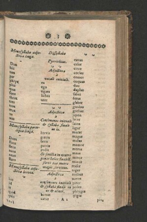 [Liber quartus epitheta castelii ...]