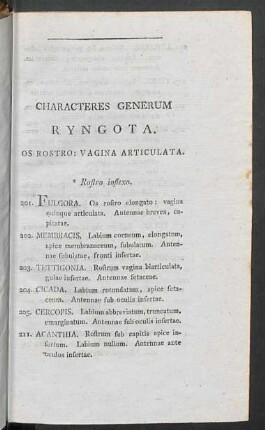 Characteres generum Ryngota.
