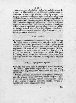 VII. Malva