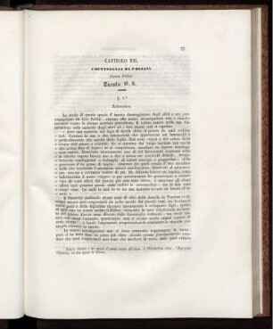 CAPITOLO VII.
