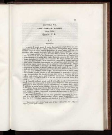 CAPITOLO VII.