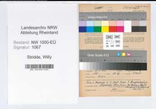 Entnazifizierung Willy Stridde, geb. 27.03.1892 (Angest.)