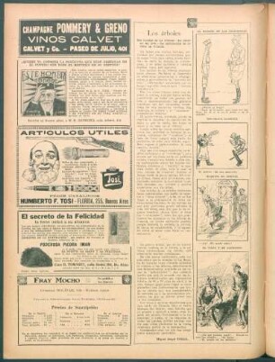 Los árboles : Las heridas de los árboles.- La necrosis del leño.- La destrucción de árboles en Francia