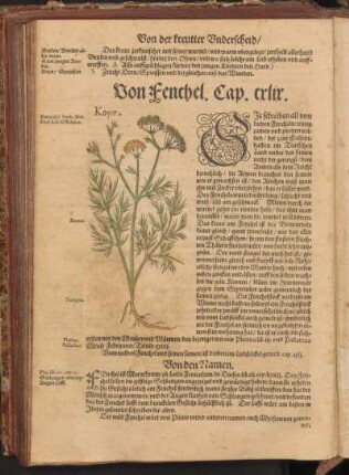 Von Fenchel, Cap. CXLIX