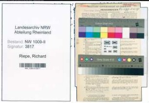 Entnazifizierung Richard Riepe , geb. 18.09.1900 (Treuhaender)